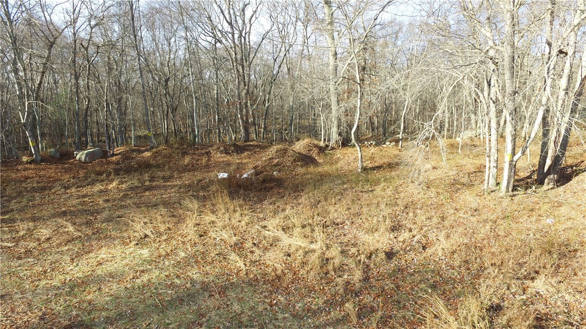 0 Hillsdale Road Richmond, RI 02892 - Photo 17 of 20 Gallery Image 17