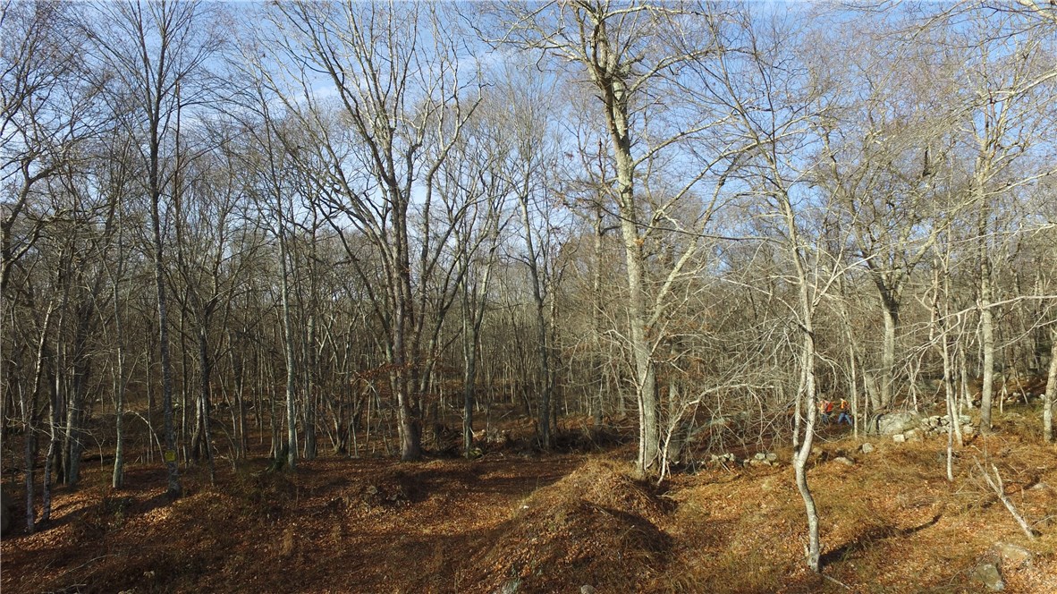 0 Hillsdale Road Richmond, RI 02892 - Photo 19 of 20 Gallery Image 19
