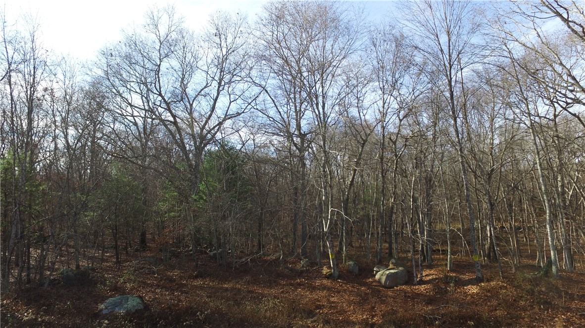 0 Hillsdale Road Richmond, RI 02892 - Photo 20 of 20 Gallery Image 20