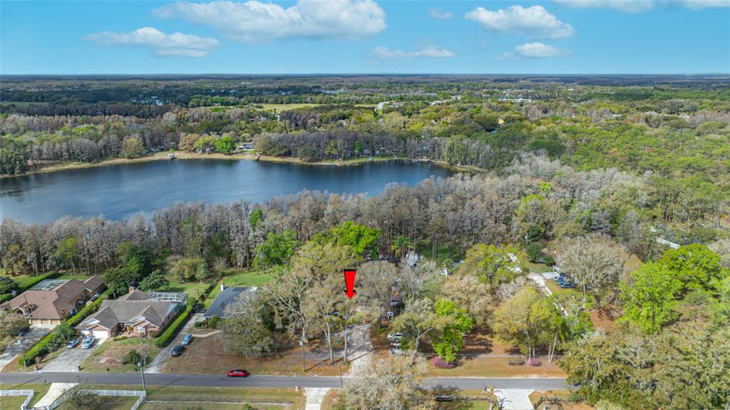 19202 Rogers Road Odessa, FL 33556 - Photo 2 of 62