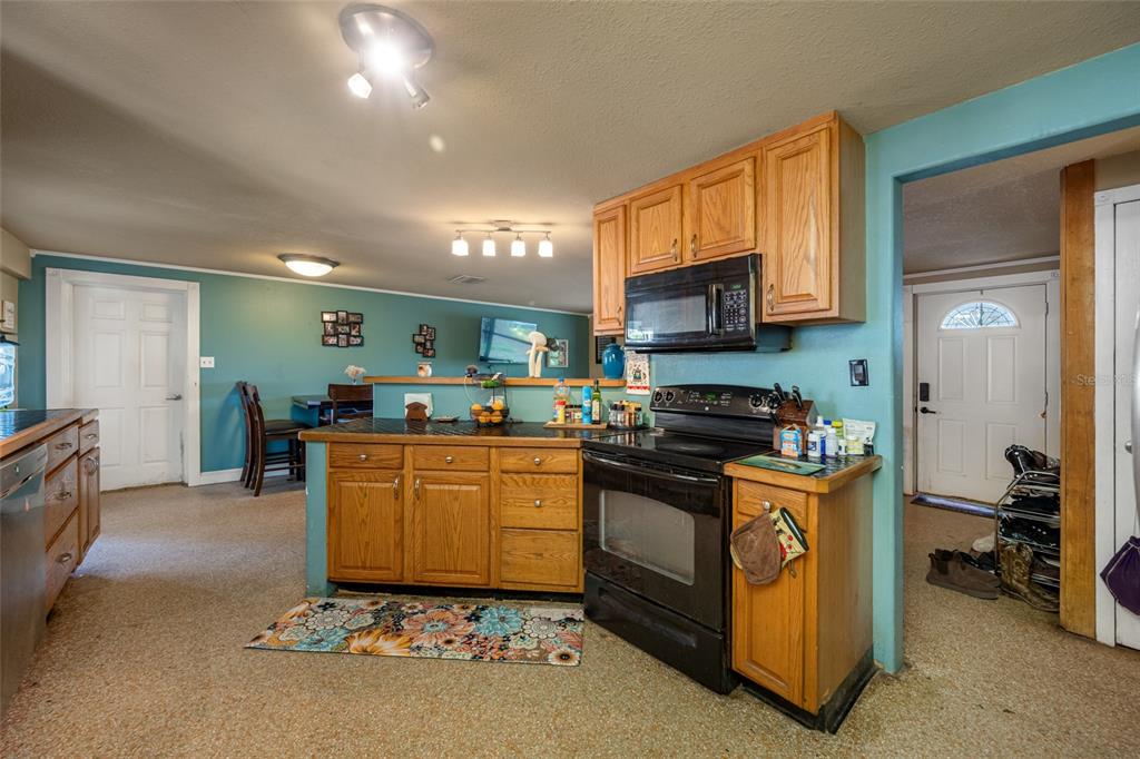 19202 Rogers Road Odessa, FL 33556 - Photo 23 of 62