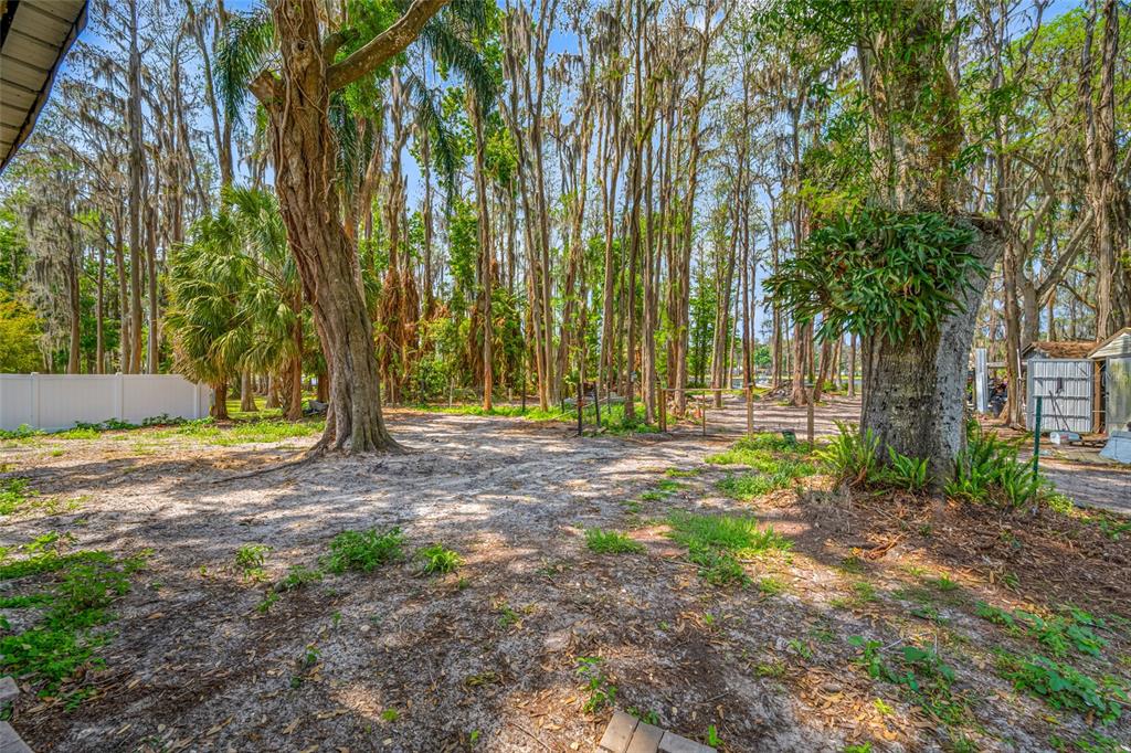 19202 Rogers Road Odessa, FL 33556 - Photo 43 of 62