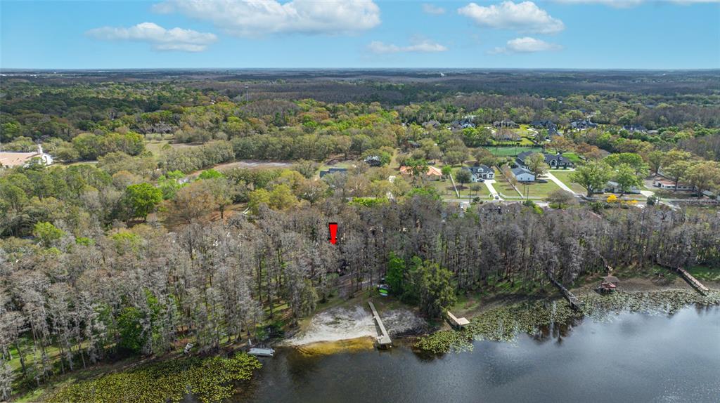 19202 Rogers Road Odessa, FL 33556 - Photo 50 of 62