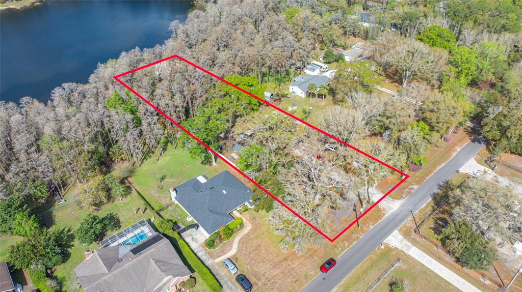 19202 Rogers Road Odessa, FL 33556 - Photo 5 of 62