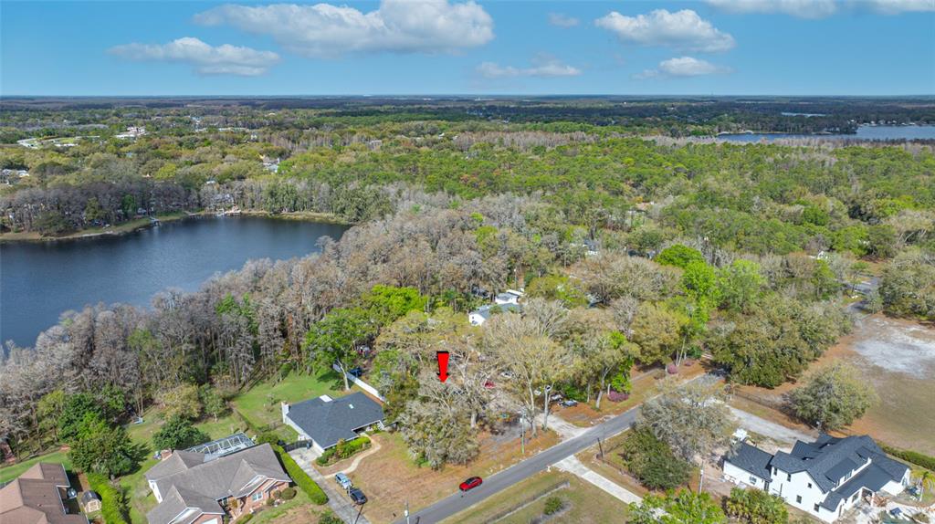 19202 Rogers Road Odessa, FL 33556 - Photo 52 of 62