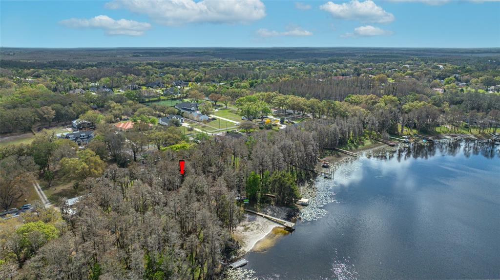 19202 Rogers Road Odessa, FL 33556 - Photo 53 of 62