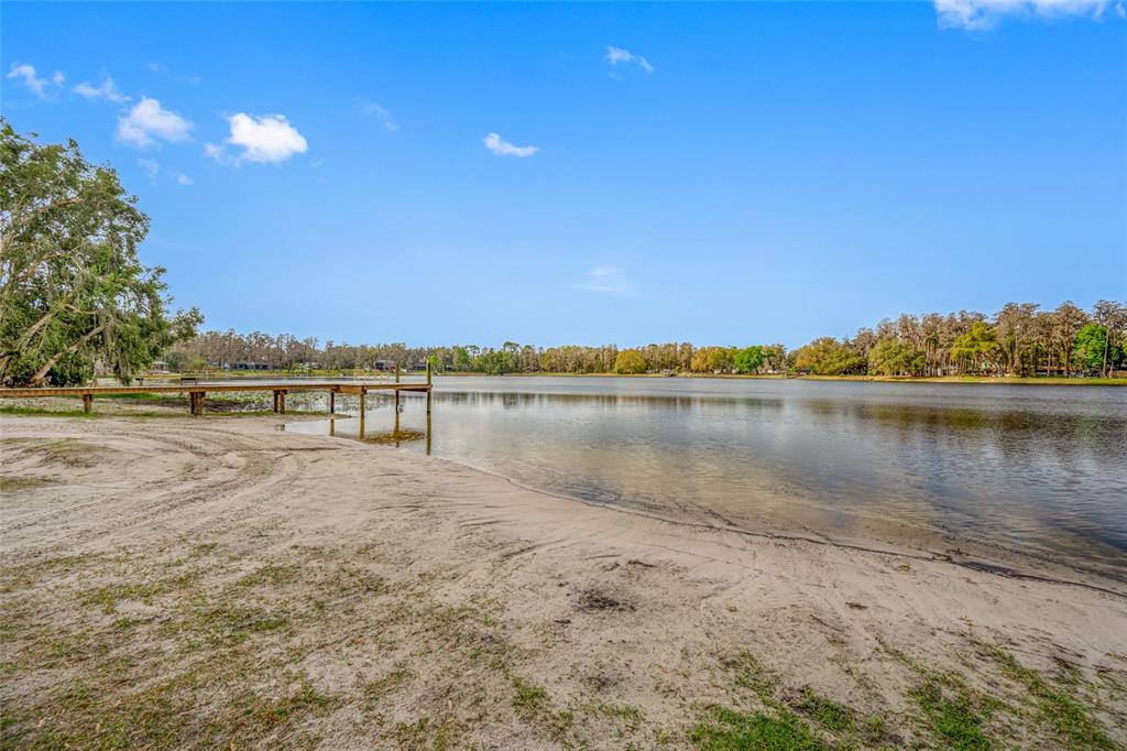 19202 Rogers Road Odessa, FL 33556 - Photo 56 of 62