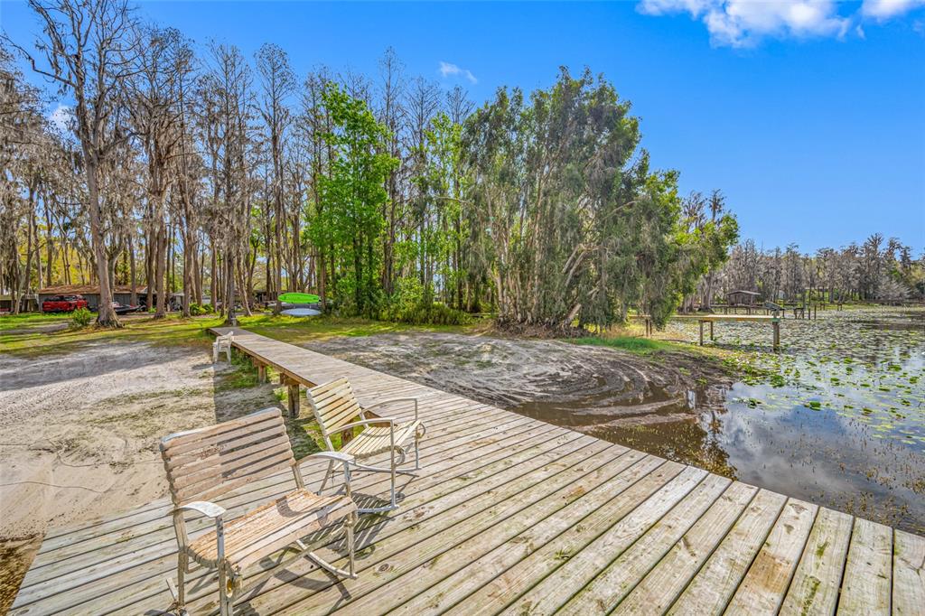 19202 Rogers Road Odessa, FL 33556 - Photo 57 of 62