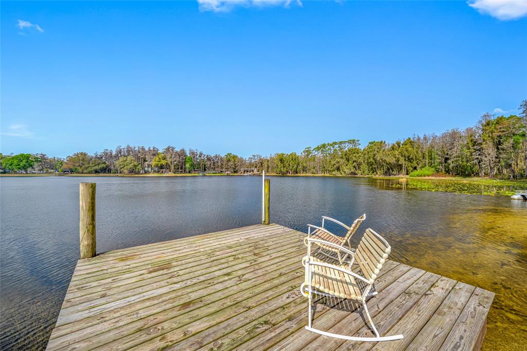 19202 Rogers Road Odessa, FL 33556 - Photo 58 of 62