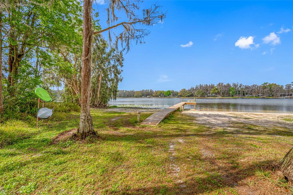 19202 Rogers Road Odessa, FL 33556 - Photo 7 of 62