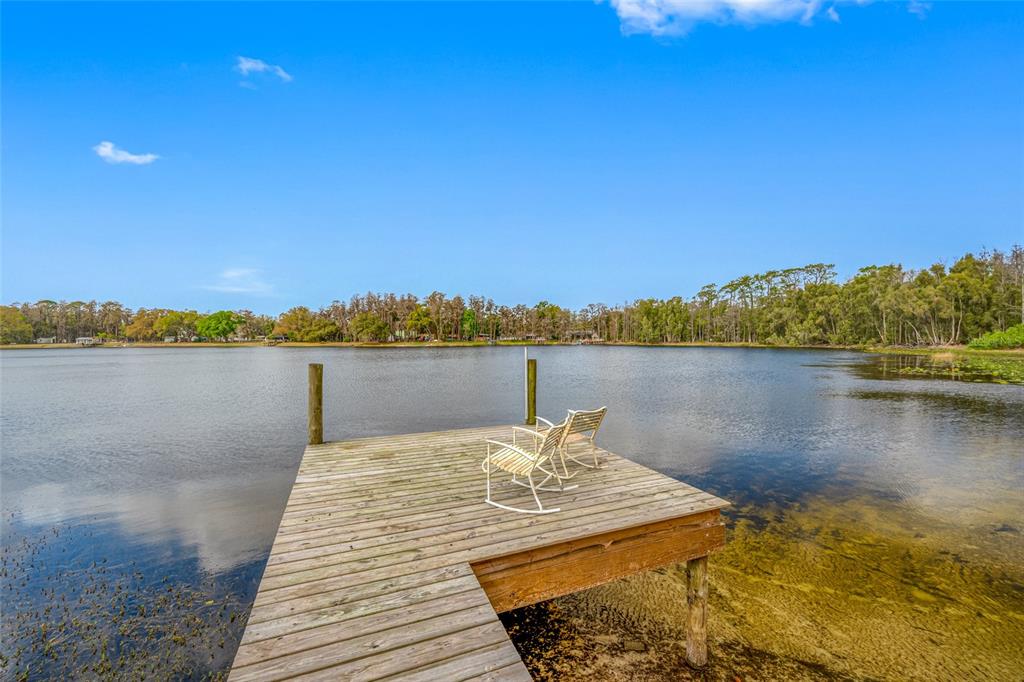 19202 Rogers Road Odessa, FL 33556 - Photo 9 of 62