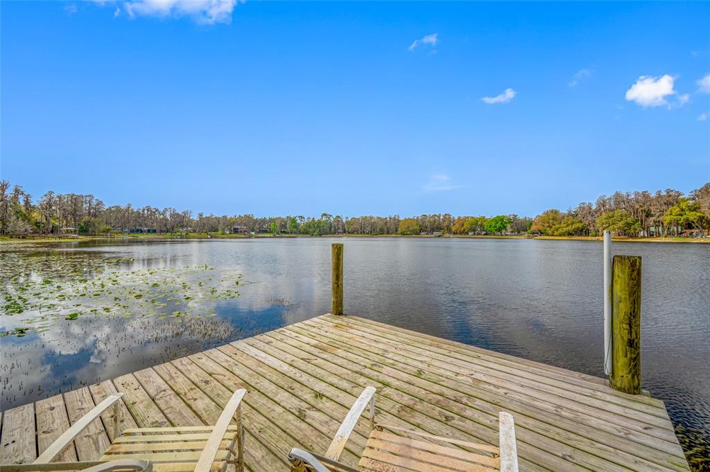 19202 Rogers Road Odessa, FL 33556 - Photo 10 of 62