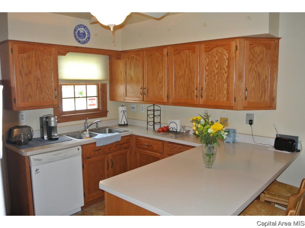 3401 South 3rd Street Springfield, IL 62703 - Photo 9 of 23