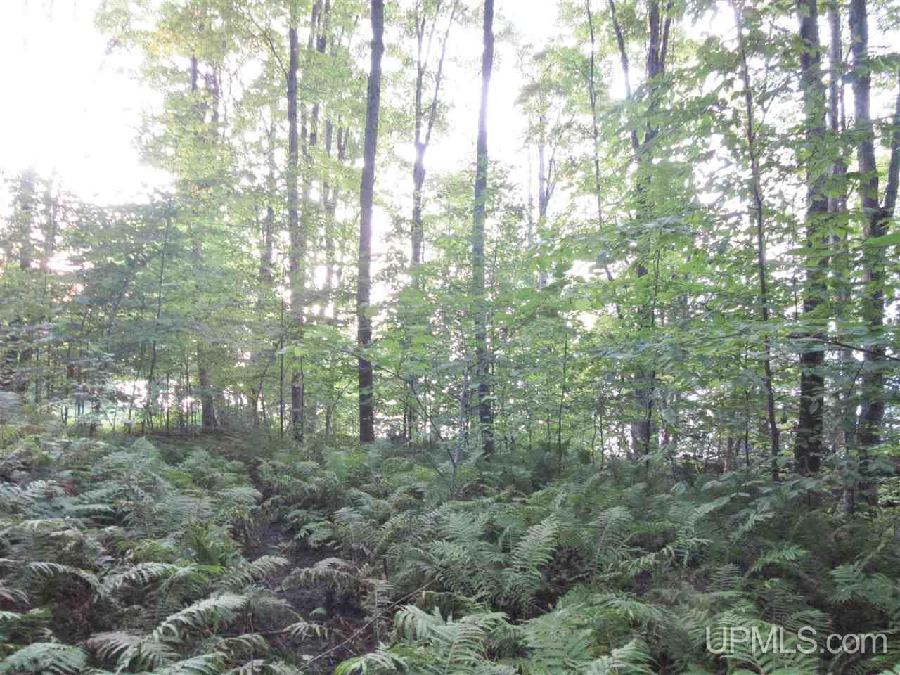 Tbd North Needle Pointe Road, Unit LOT 3 Germfask, MI 49836 - Photo 8 of 13