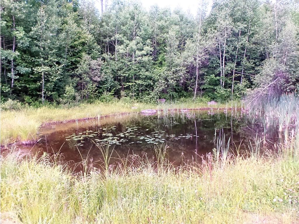 37 Littlefield Road Danbury, NH 03230 - Photo 3 of 16