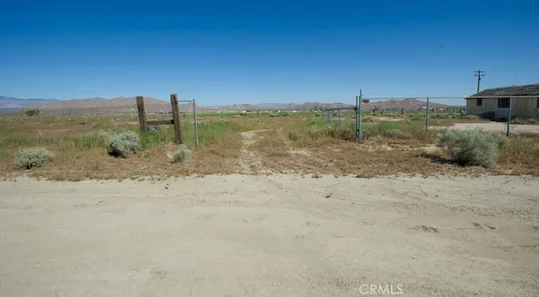 a view of a dry yard with wooden fence