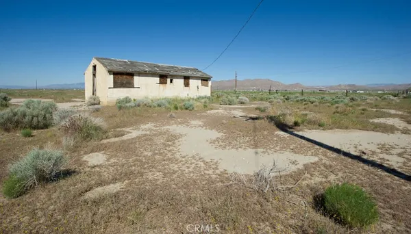 a vase of flowers sitting on a table