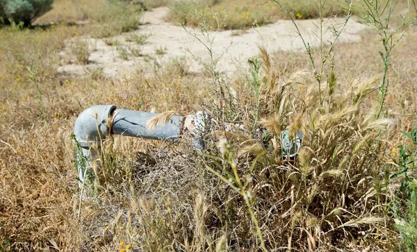a view of an ocean beach