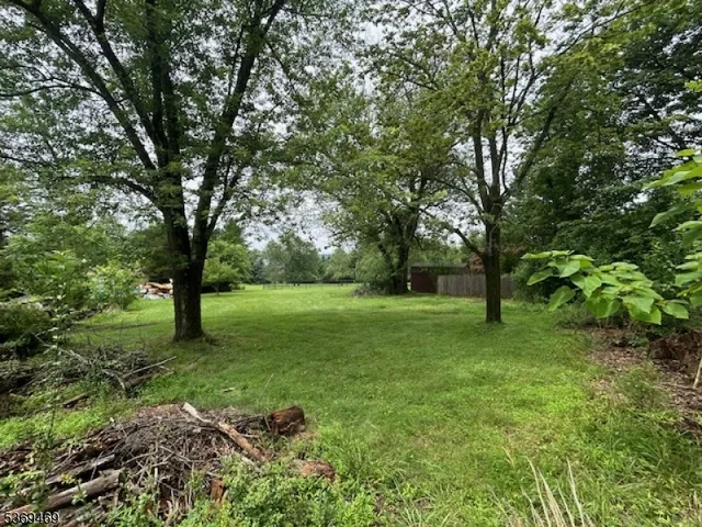 a huge green field with lots of trees