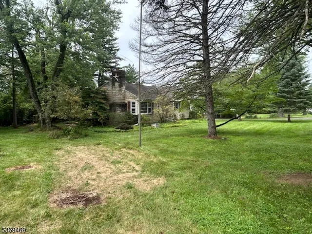a view of a backyard with green space