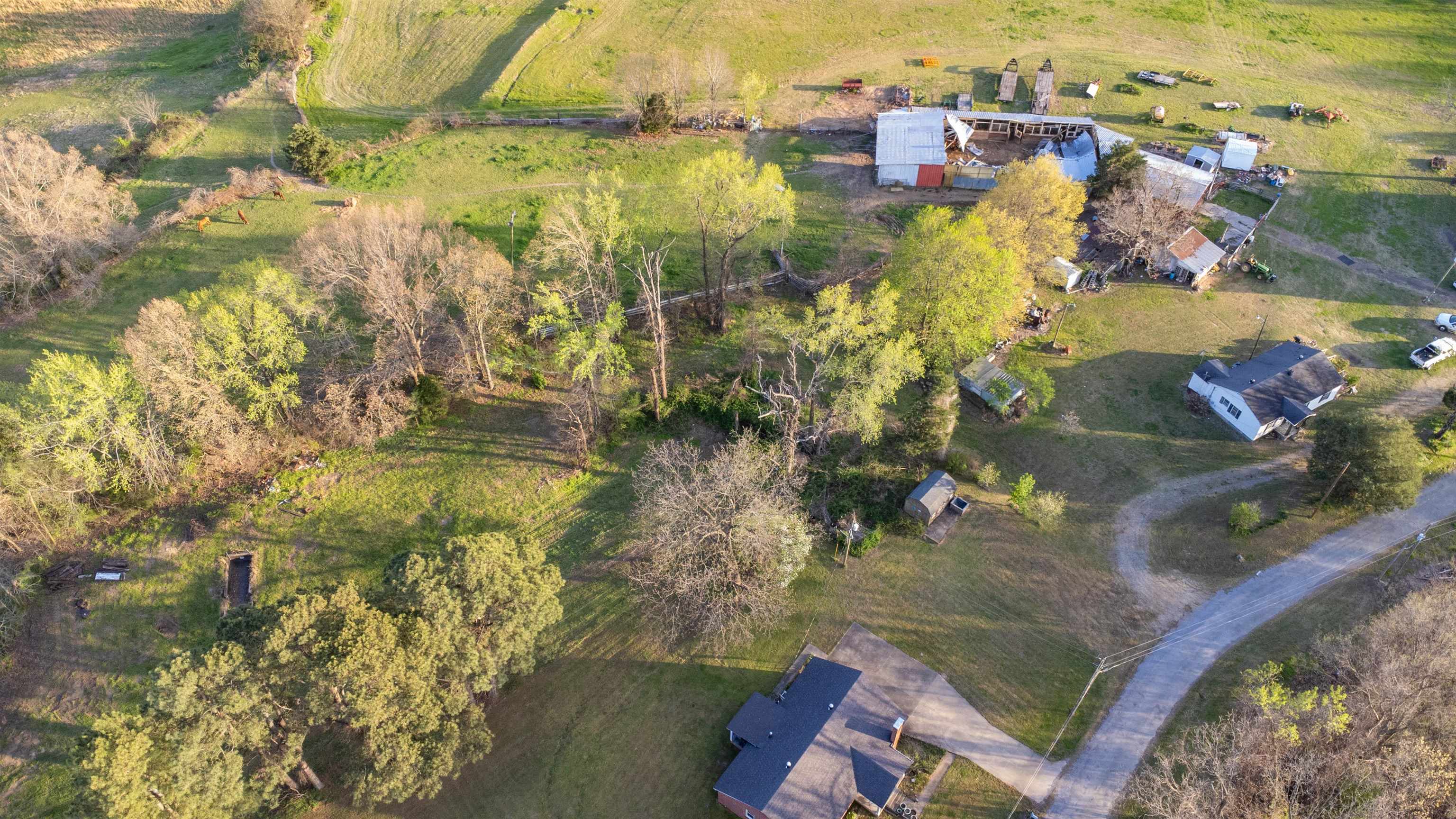127 Harvey Newman Road Gates, TN 38037 - Photo 33 of 40 a view of lake view