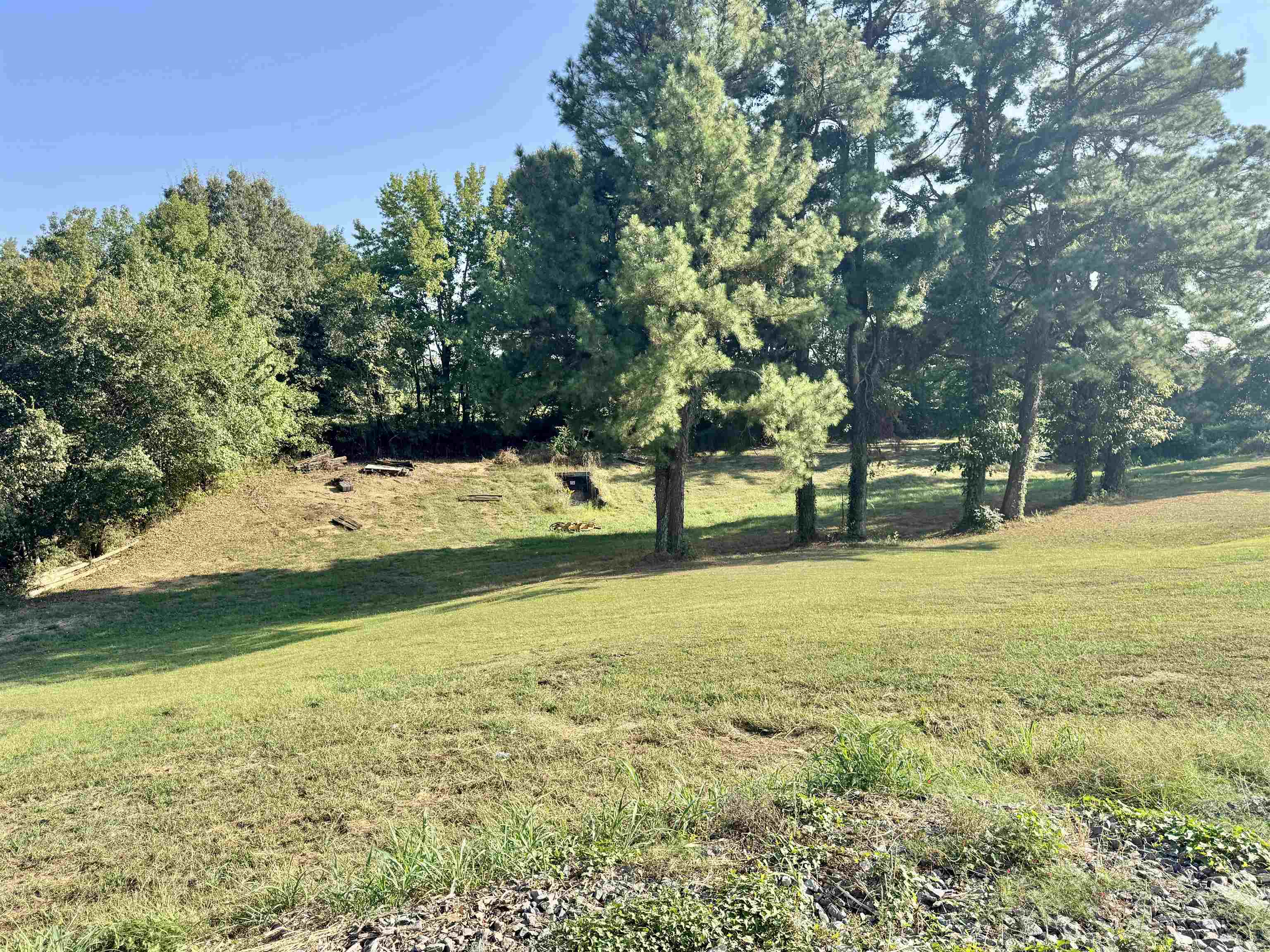 127 Harvey Newman Road Gates, TN 38037 - Photo 9 of 40 a view of yard with green space