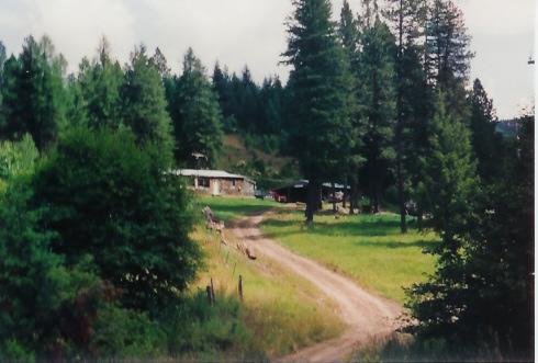 1626 Blake Draw Rd Street St. Maries, ID 83861 - Photo 1 of 1 Exterior