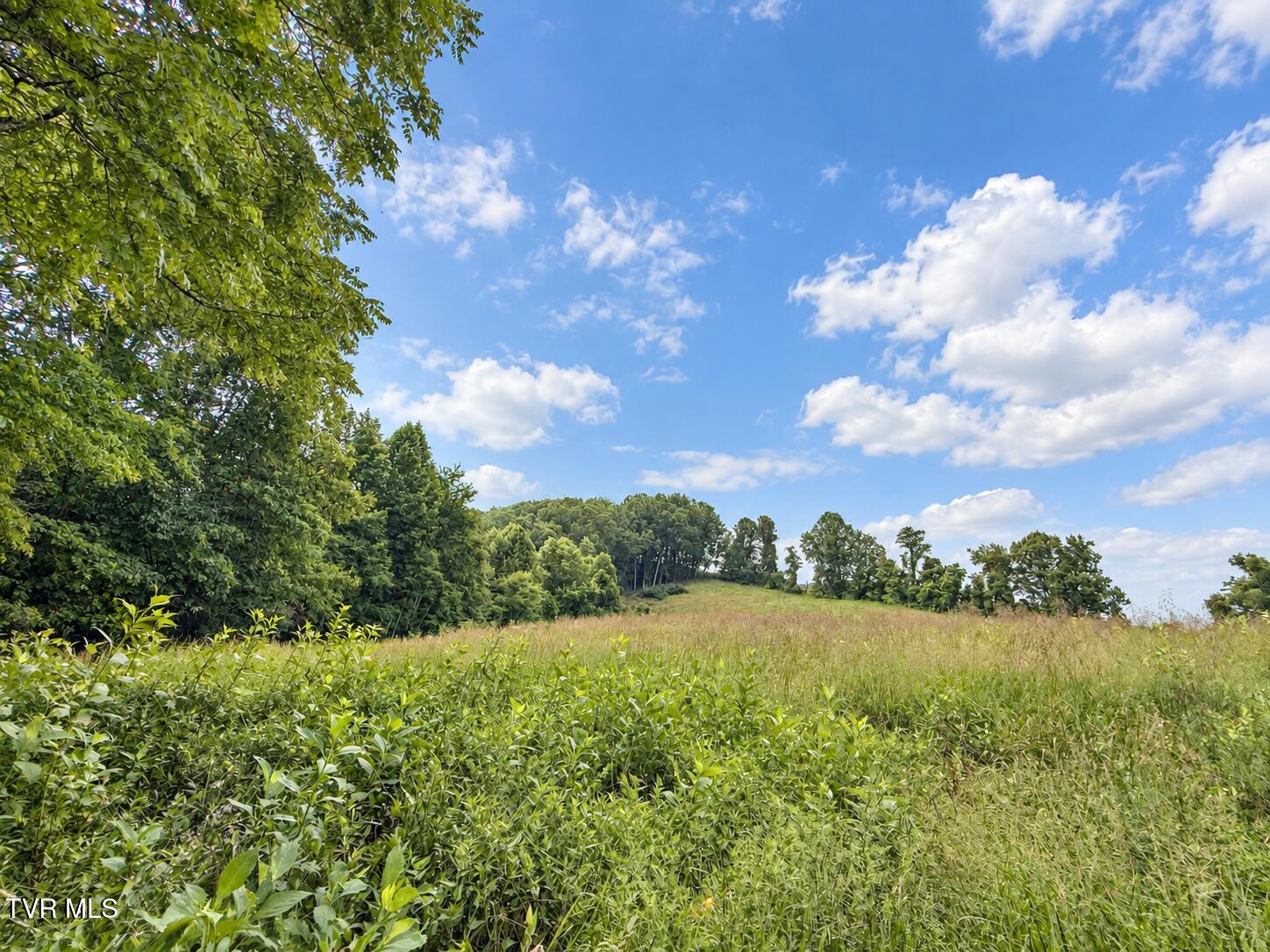 1859 Luray Road Gate City, VA 24251 - Photo 29 of 29 ChatGPT Image Sep 8, 2026, 11_08_57 AM (
