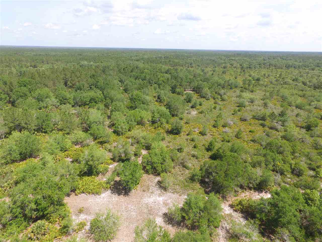 Vacant Vacant Turkey Roost Road Perry, FL 32348 - Photo 1 of 17 Gallery Image 1