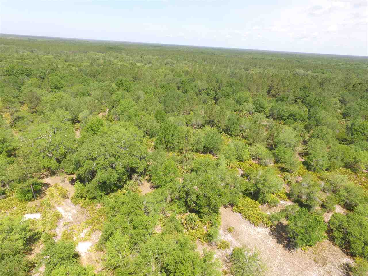 Vacant Vacant Turkey Roost Road Perry, FL 32348 - Photo 12 of 17 Gallery Image 12