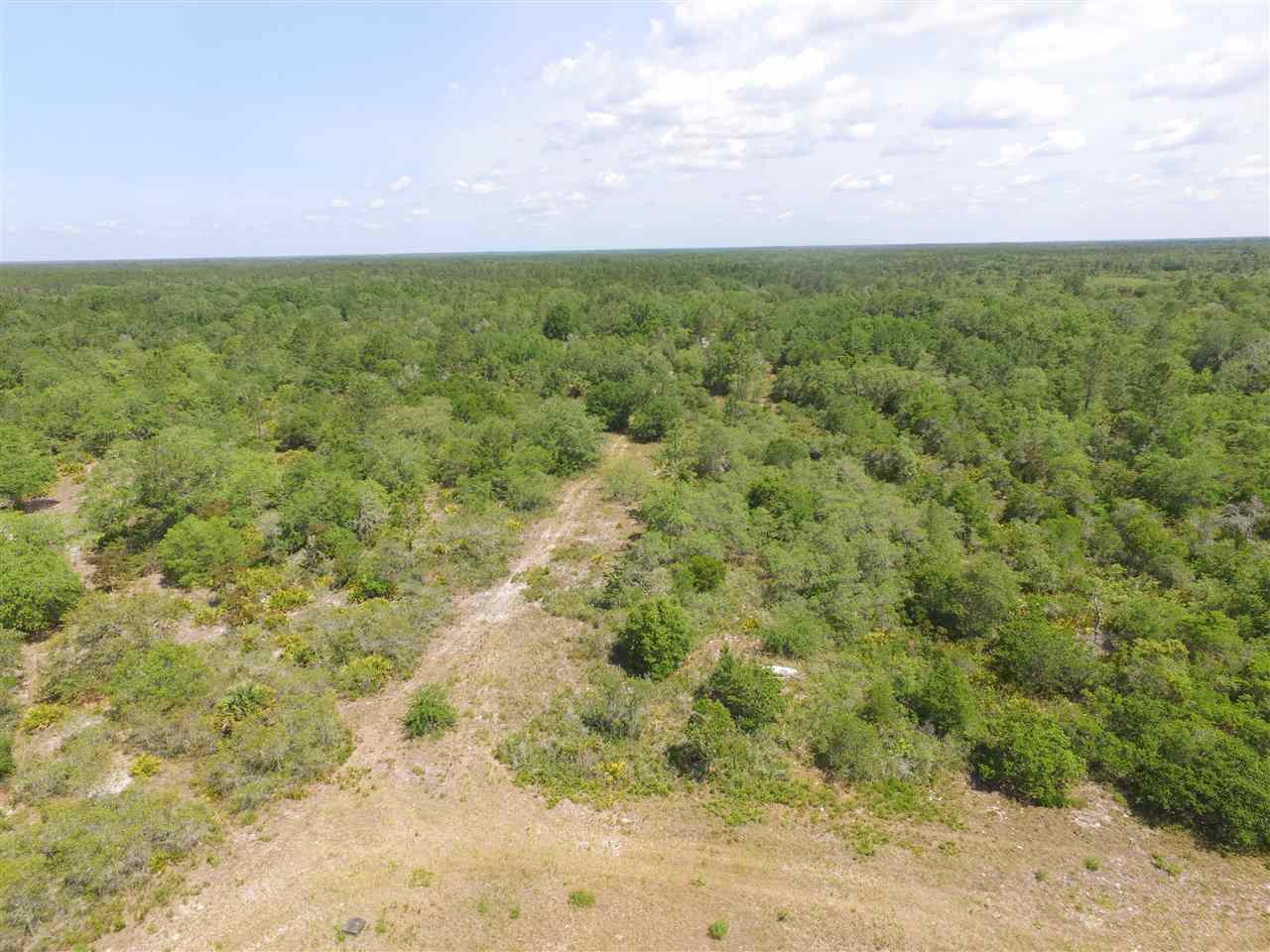 Vacant Vacant Turkey Roost Road Perry, FL 32348 - Photo 15 of 17 Gallery Image 15