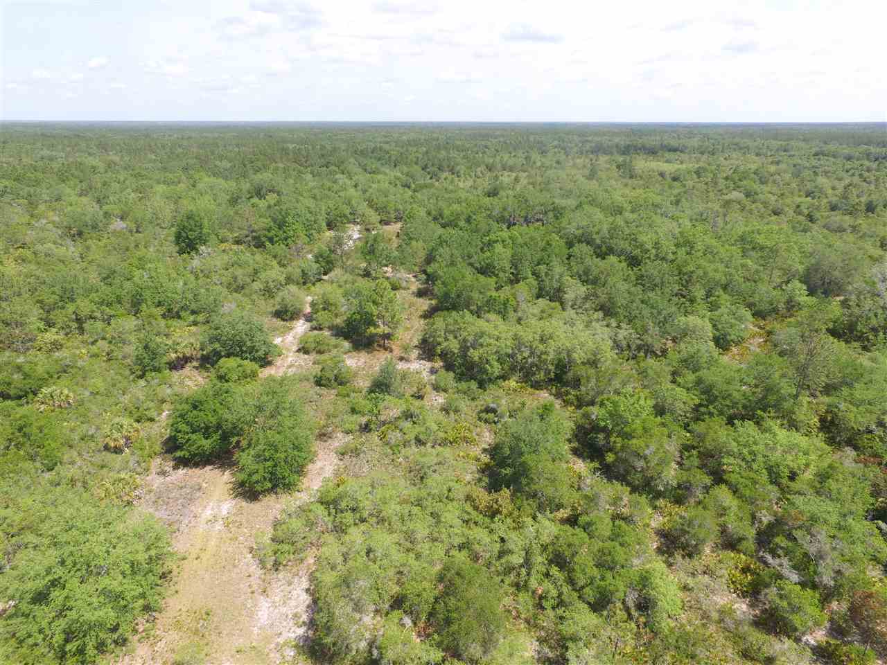 Vacant Vacant Turkey Roost Road Perry, FL 32348 - Photo 3 of 17 Gallery Image 3