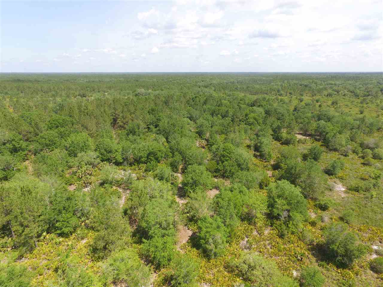 Vacant Vacant Turkey Roost Road Perry, FL 32348 - Photo 8 of 17 Gallery Image 8