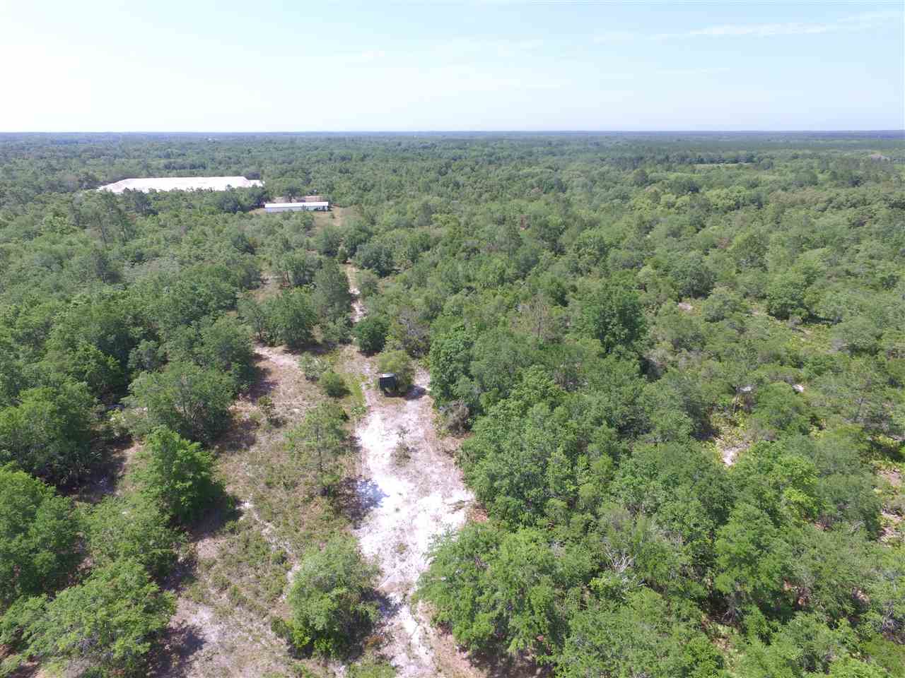 Vacant Vacant Turkey Roost Road Perry, FL 32348 - Photo 9 of 17 Gallery Image 9
