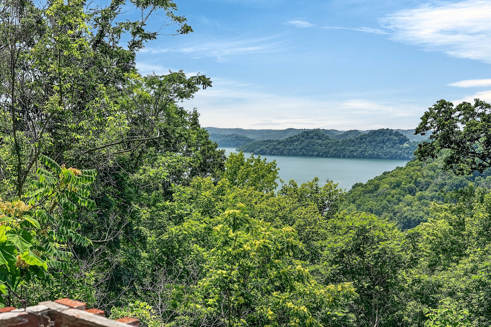 241 Nautilus Point Silver Point, TN 38582 - Photo 12 of 51