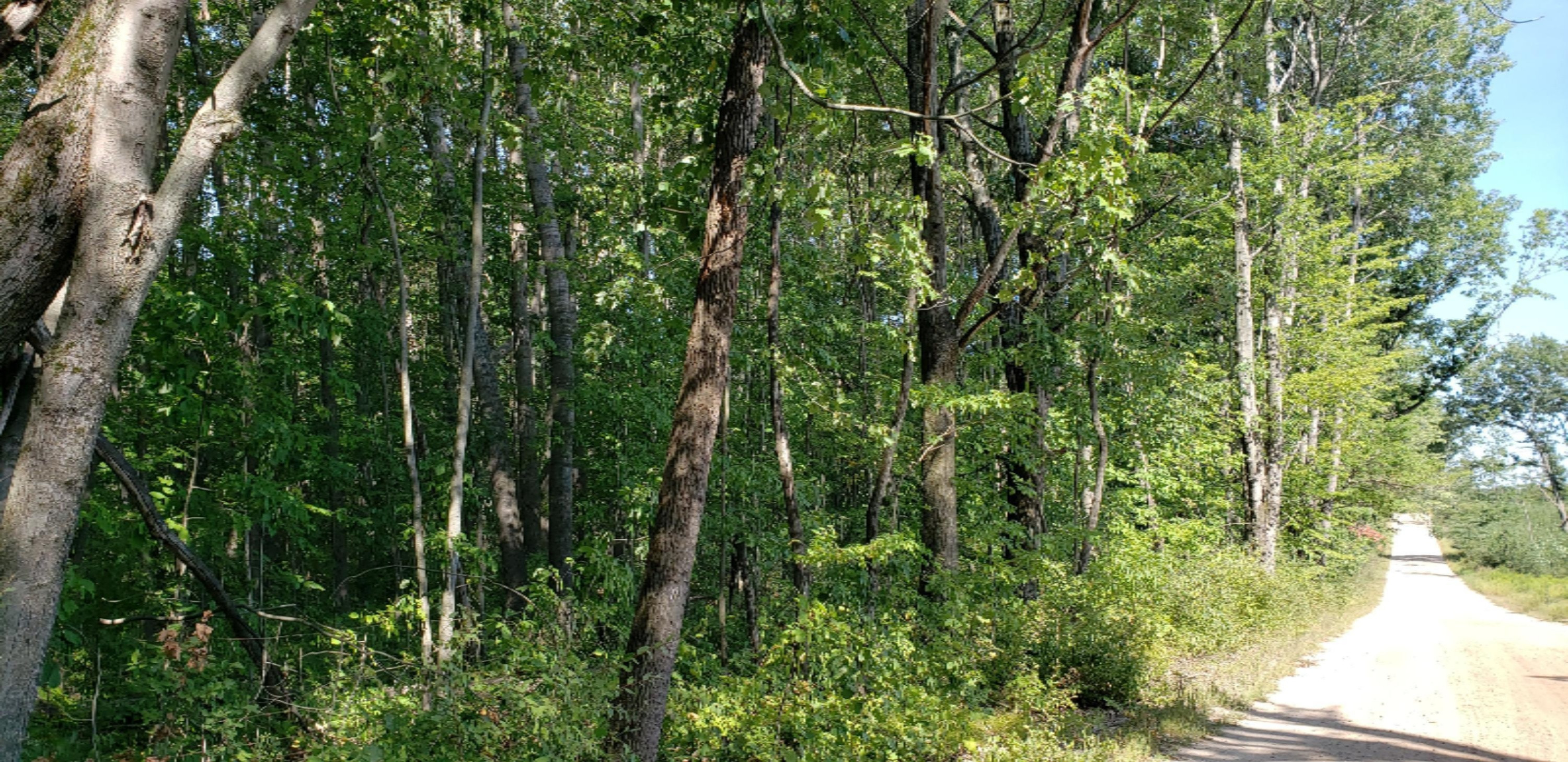 Hannah Road Remus, MI 49340 - Photo 1 of 10 20200822_154218