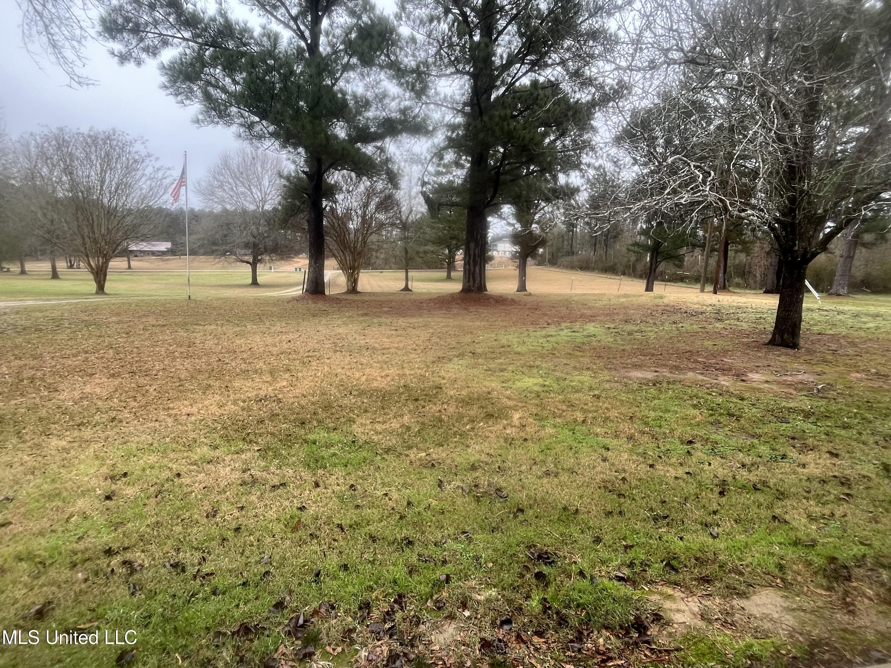 2820 Horace Lane Northwest Wesson, MS 39191 - Photo 18 of 19 IMG_7688