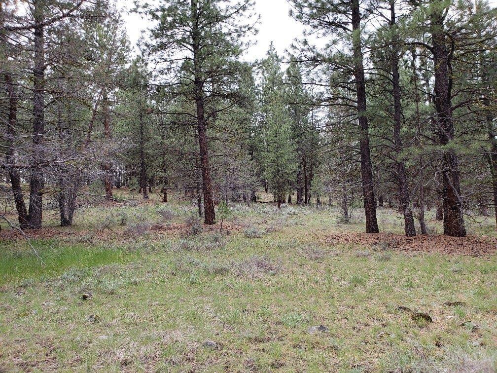 0 24 Bamford Road Bly, OR 97622 - Photo 3 of 19 Additional Photo