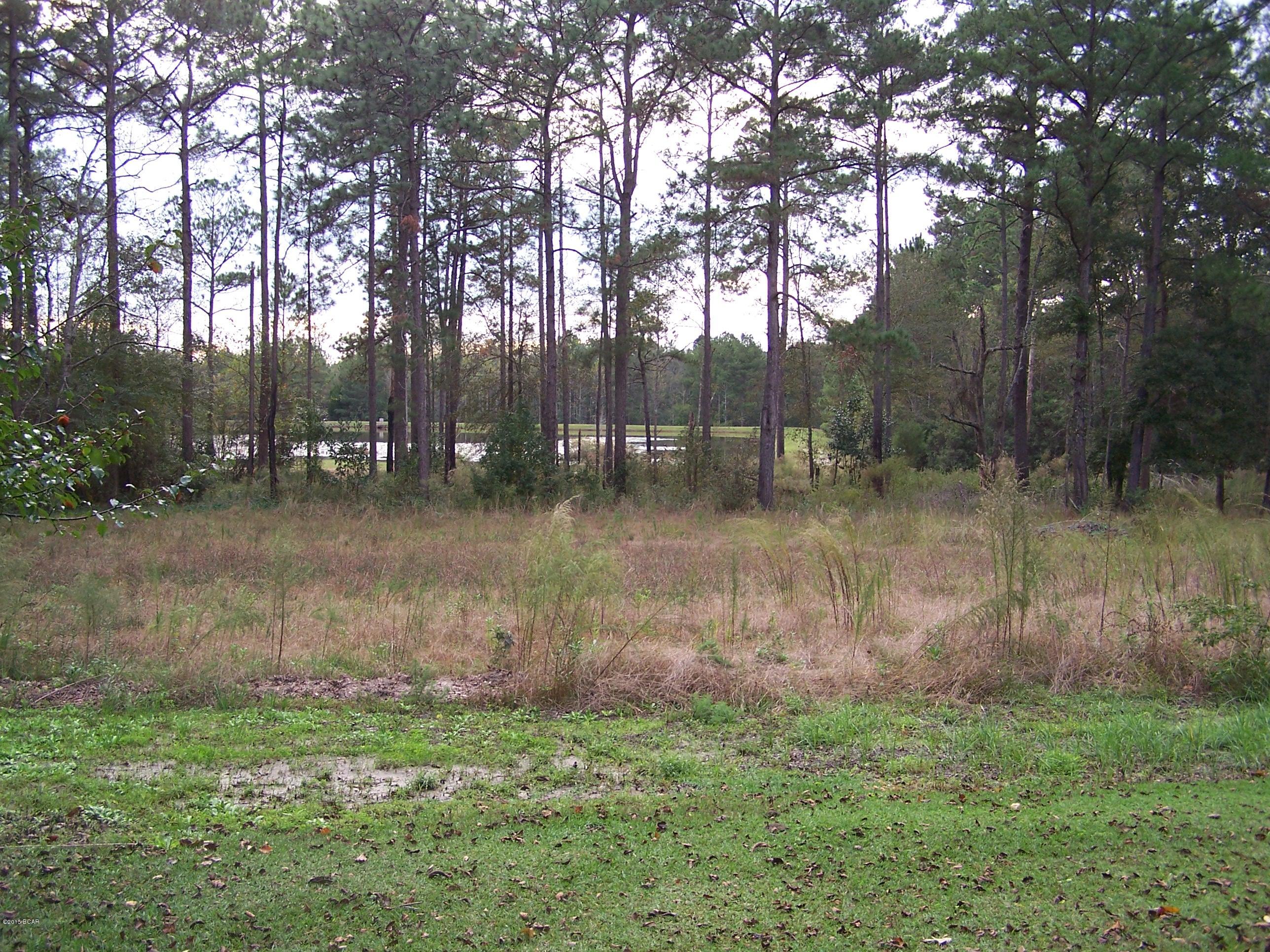 1464 Malcolm Taylor Road Bonifay, FL 32425 - Photo 18 of 22 Gallery Image 18