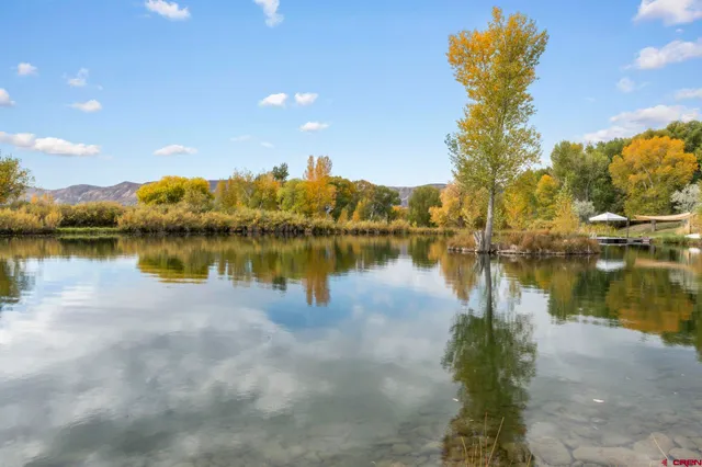 a view of a lake with houses in the back