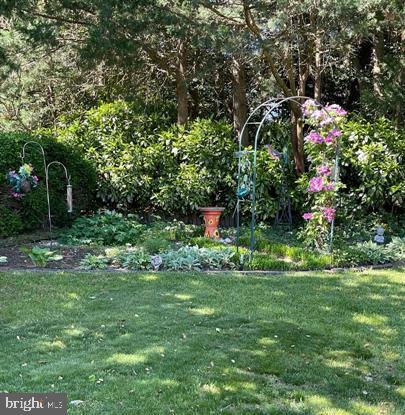 16 Colgate Drive Rehoboth Beach, DE 19971 - Photo 28 of 28 Lush garden oasis with vibrant blooms.