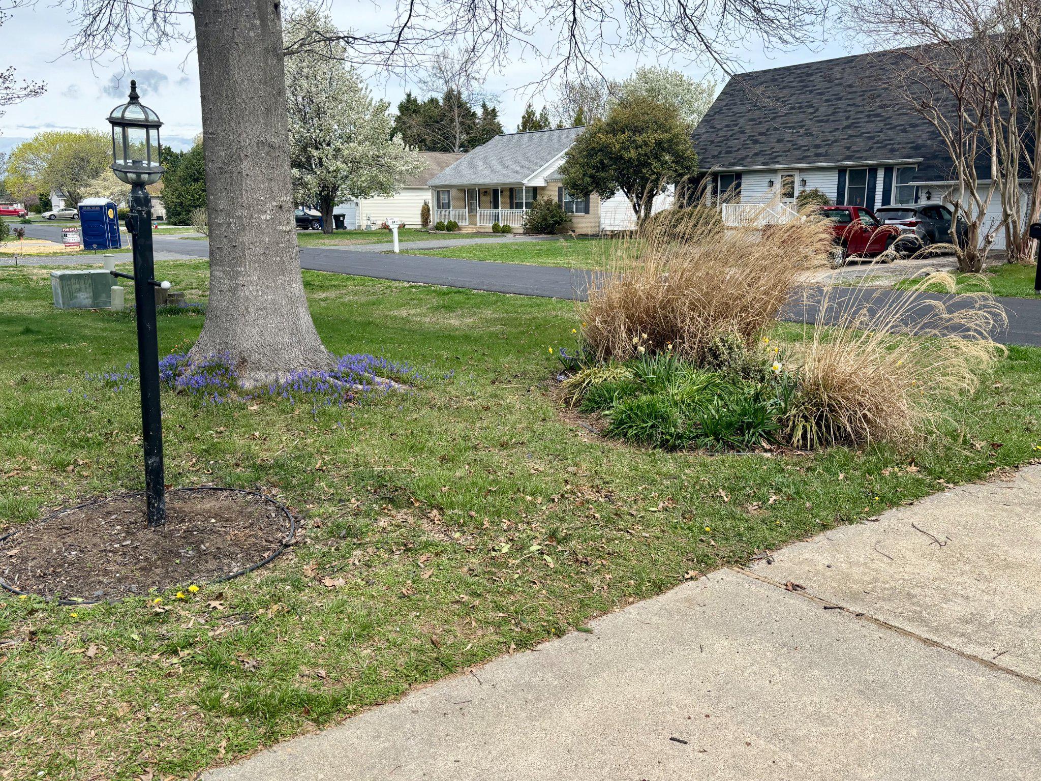 16 Colgate Drive Rehoboth Beach, DE 19971 - Photo 3 of 28 Lovely landscaping