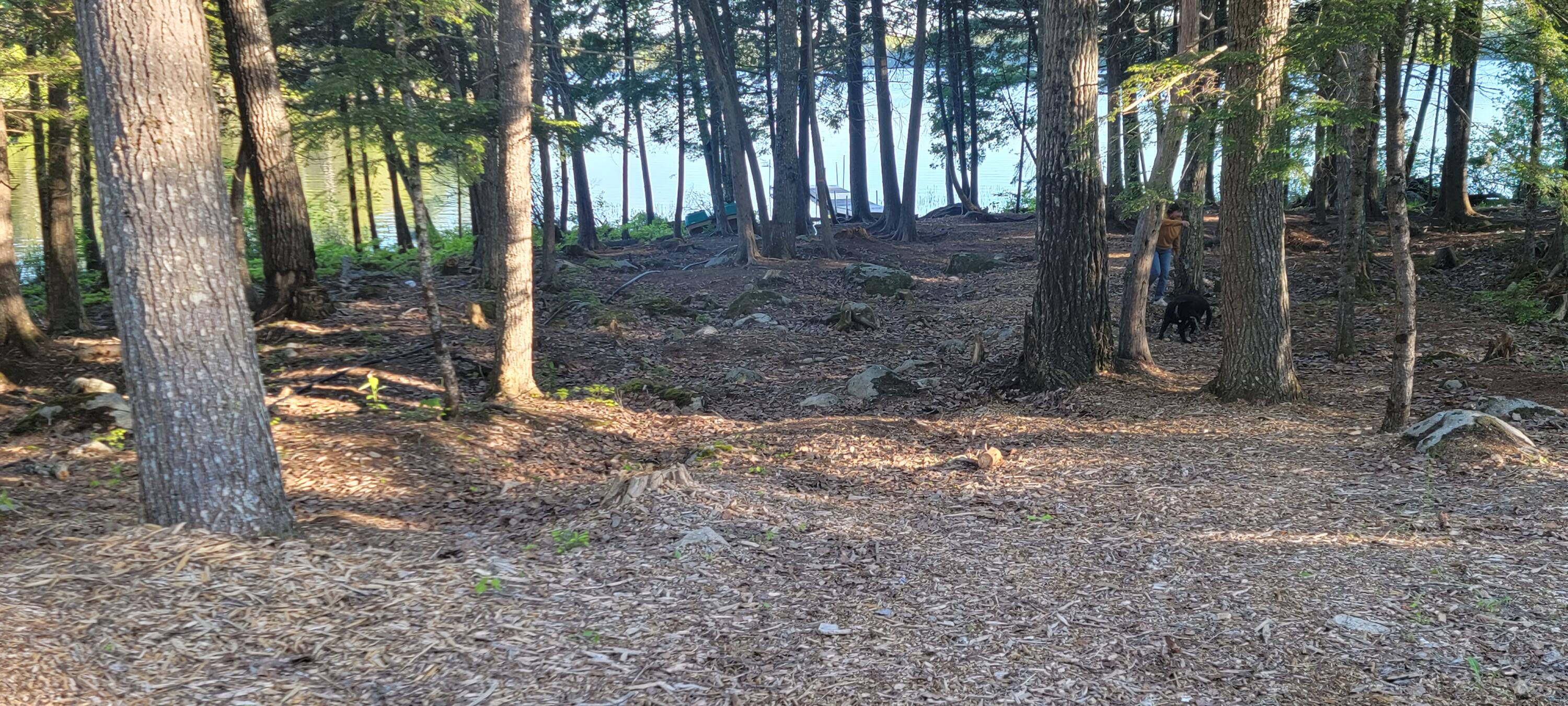 Lot 12 Little Stream Road Lincoln, ME 04457 - Photo 15 of 36 20220606_181507