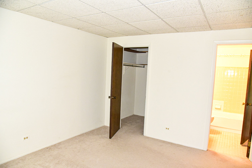 1560 7 Pines Road, Unit C1 Schaumburg, IL 60193 - Photo 12 of 17 a view of an empty room
