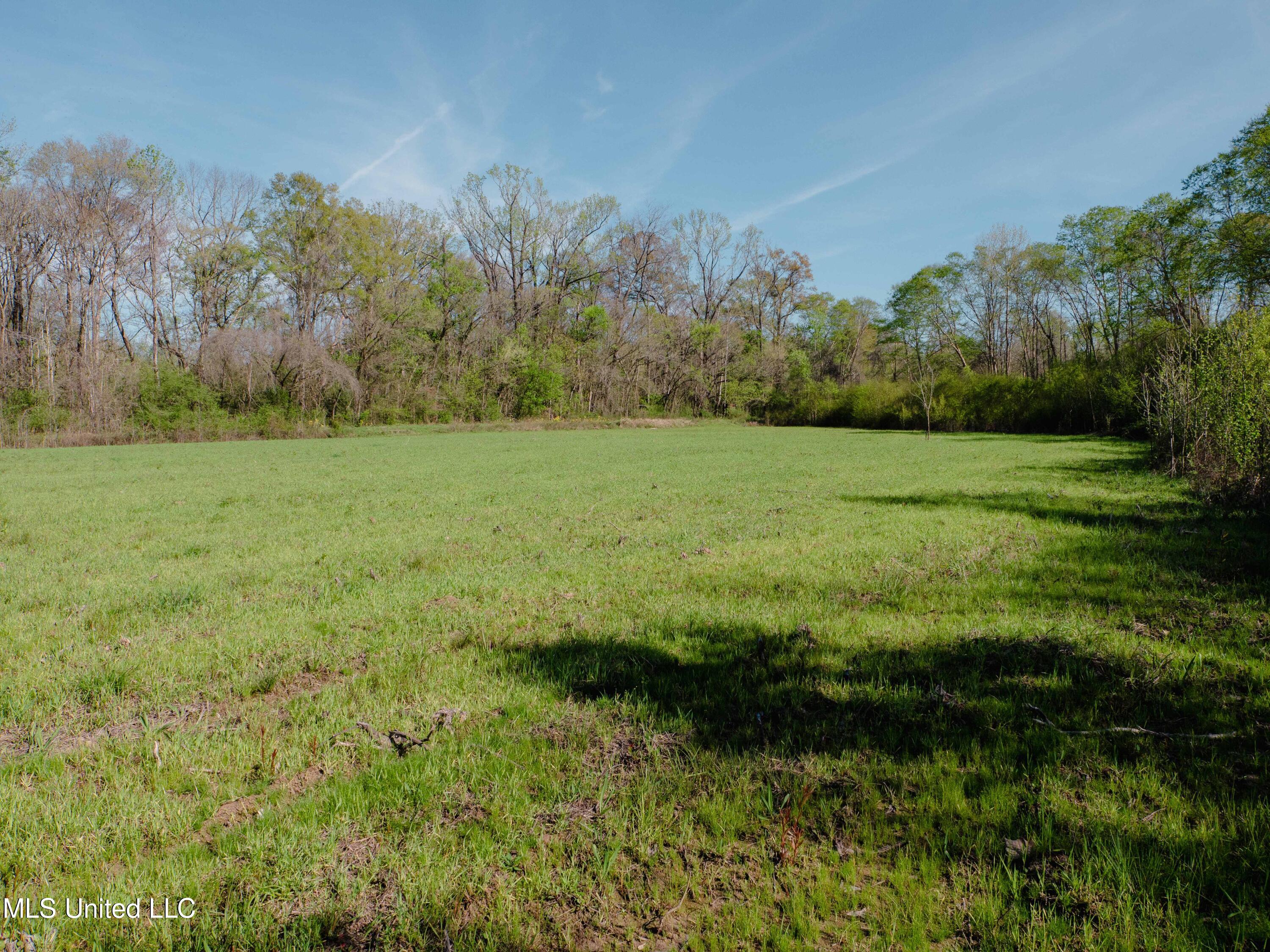 Cox Ferry Road Bentonia, MS 39040 - Photo 23 of 26 P1105460low