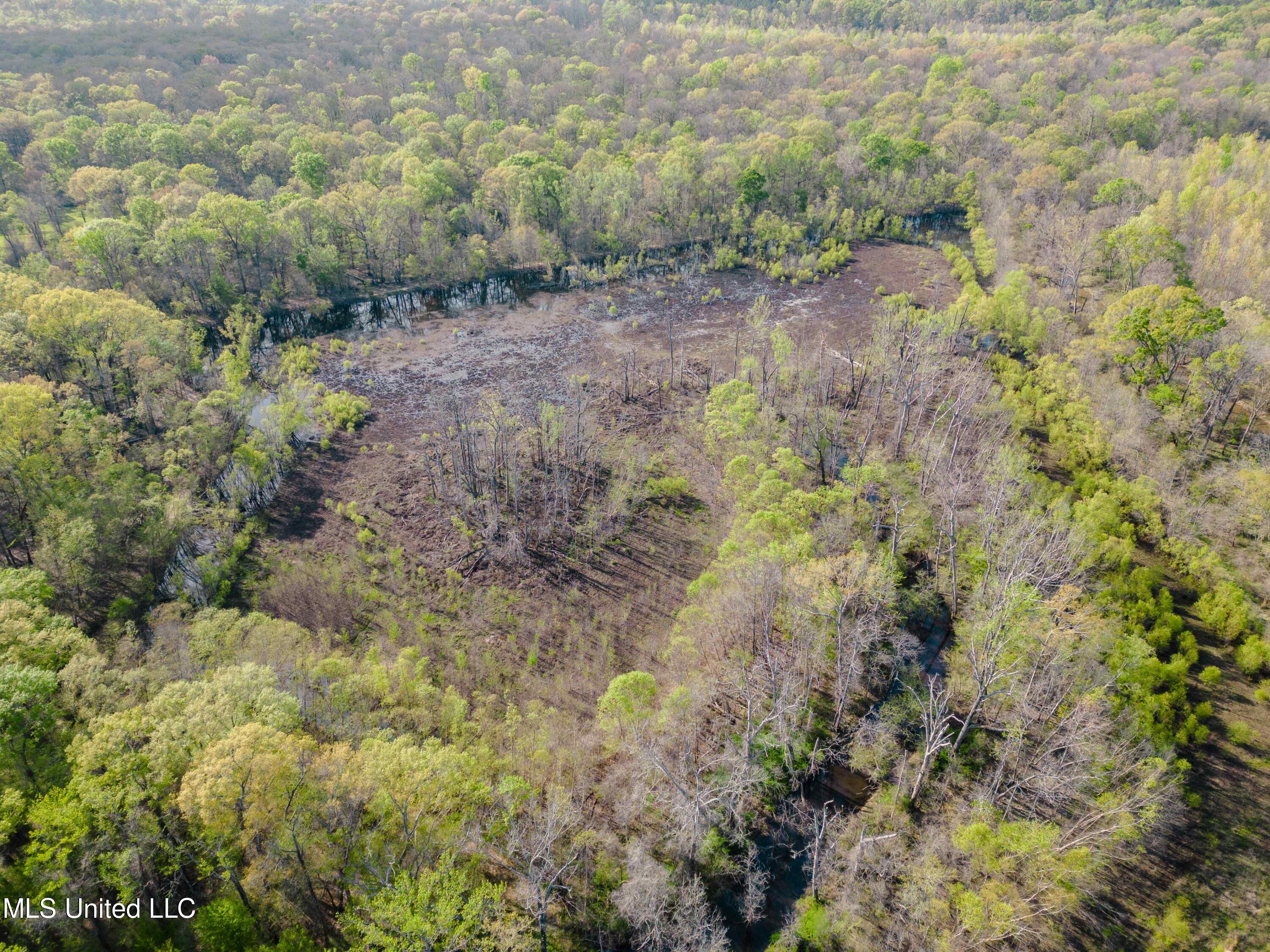 Cox Ferry Road Bentonia, MS 39040 - Photo 8 of 26 DJI_0175low