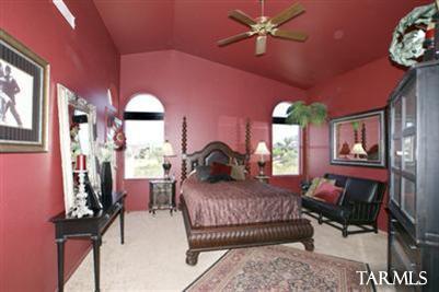 11372 Silver Pheasant Loop Tucson, AZ 85737 - Photo 18 of 24