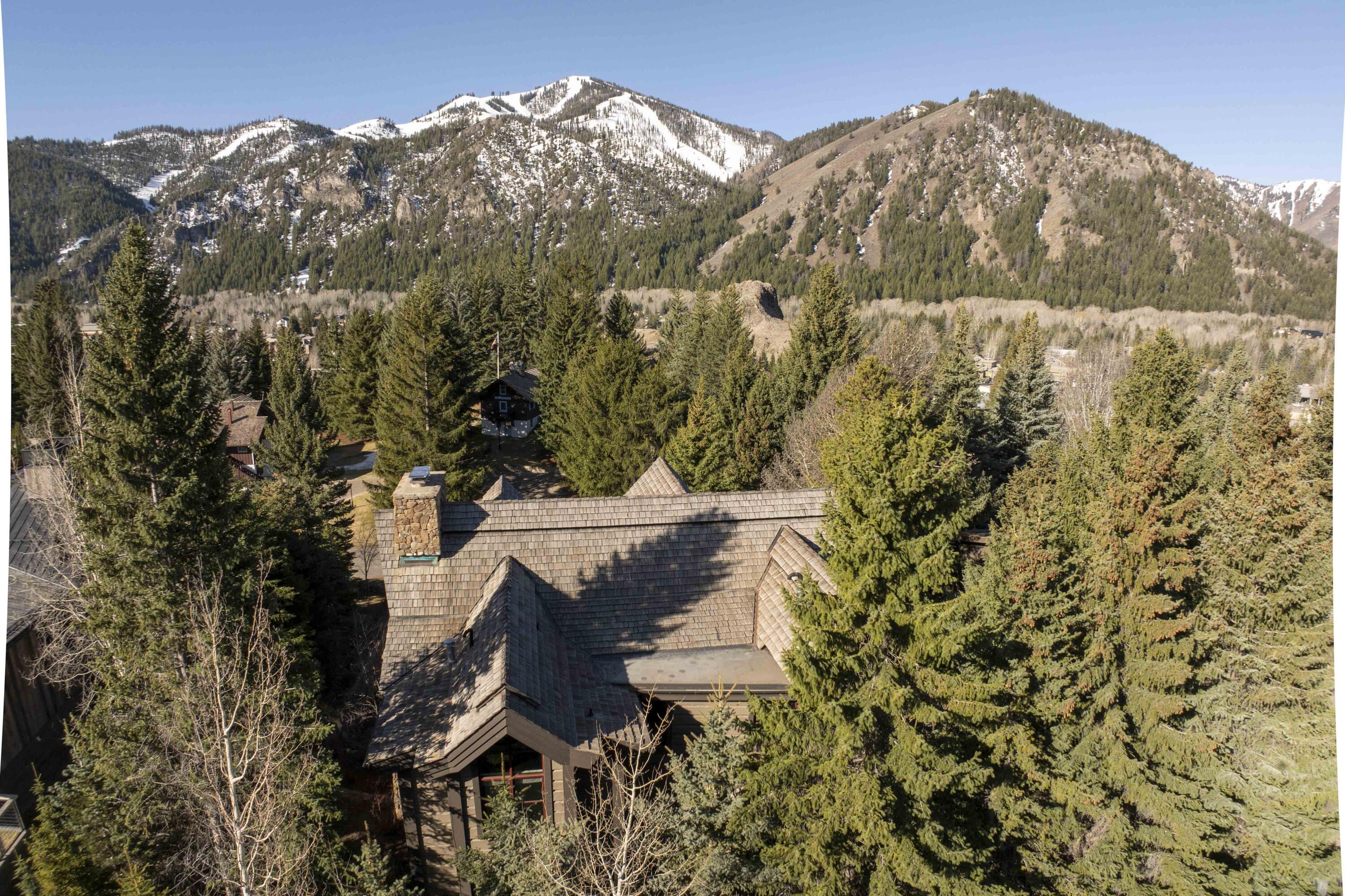 780 Alpine Lane Ketchum, ID 83340 - Photo 45 of 47 Aerial