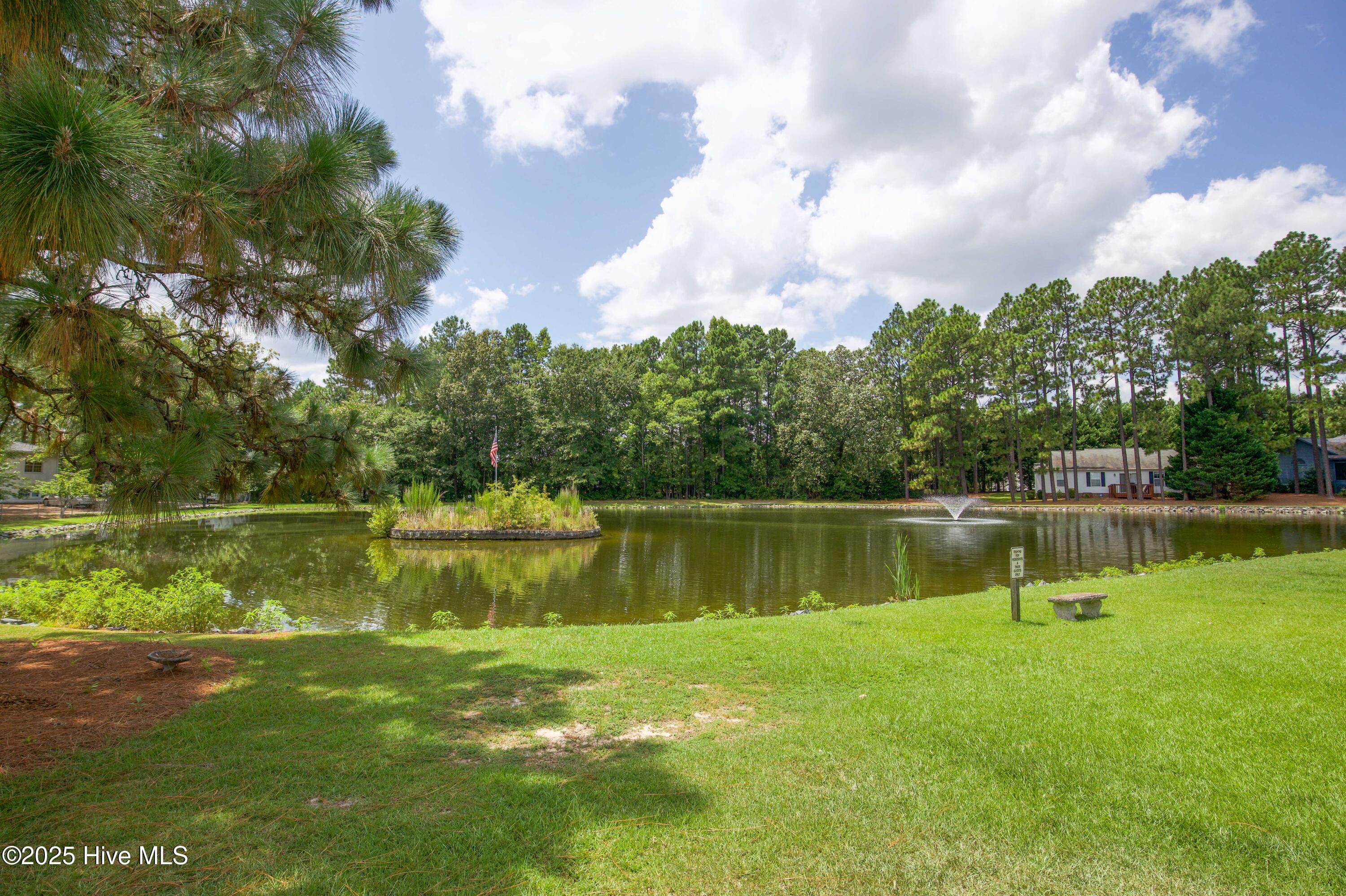 207 Kinloch Way Aberdeen, NC 28315 - Photo 36 of 38 207 Kinloch Way-7