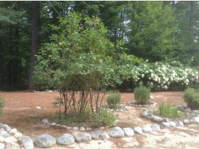237 Wild Wood Road Wakefield, NH 03830 - Photo 16 of 17